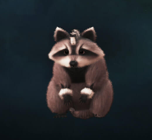 SOLO Pet - Bandit the Trash Panda