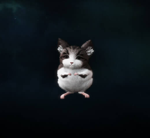 SOLO Pet - Chinchilla
