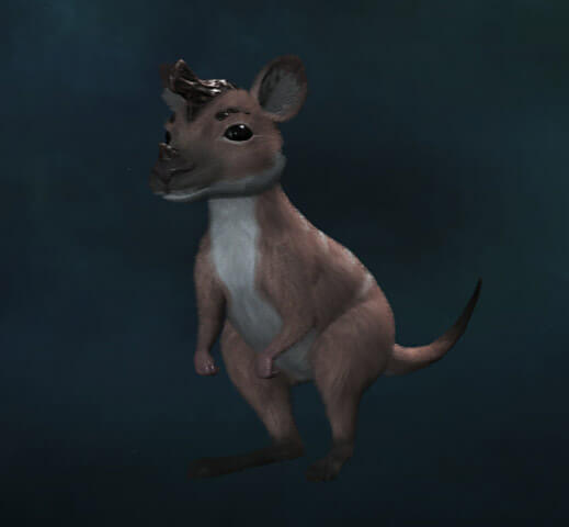 SOLO Pet - Roo