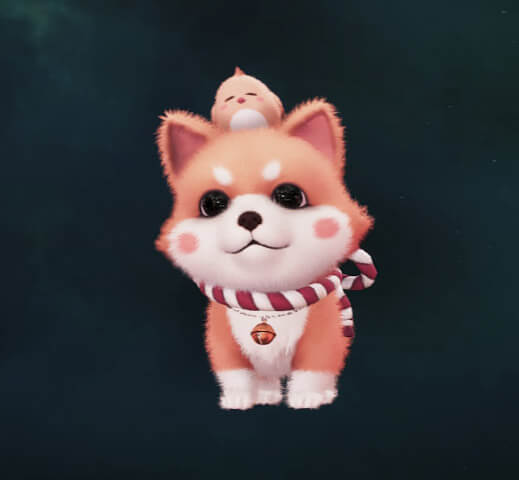SOLO Pet - Shiba