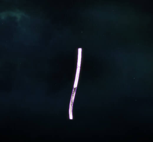 SOLO Pet - Spring Kite Tail
