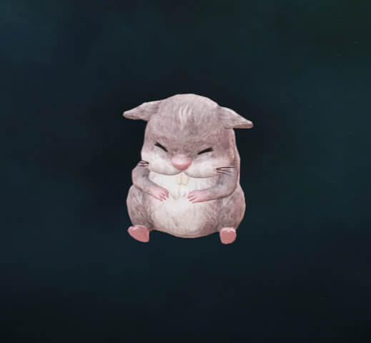 SOLO Pet - Squeak