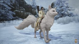 SOLO Snow Fox Mount